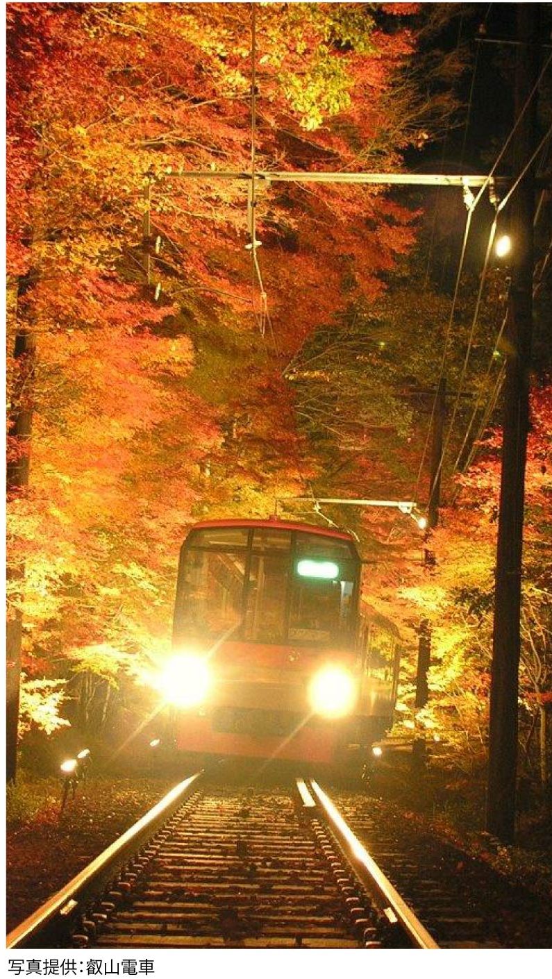 京都・秋の列車旅。車窓いっぱいに広がる「もみじのトンネル」へ