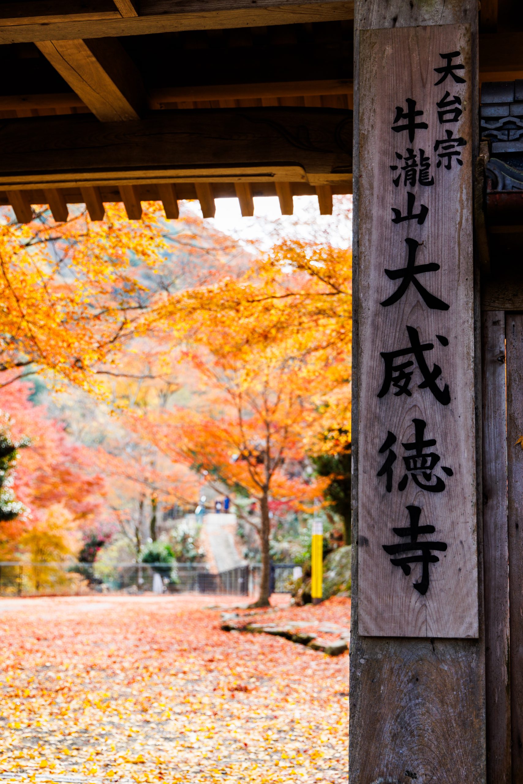 葛城修験の聖地の一つであり紅葉の名所として名高い「大威徳寺」を訪ねる