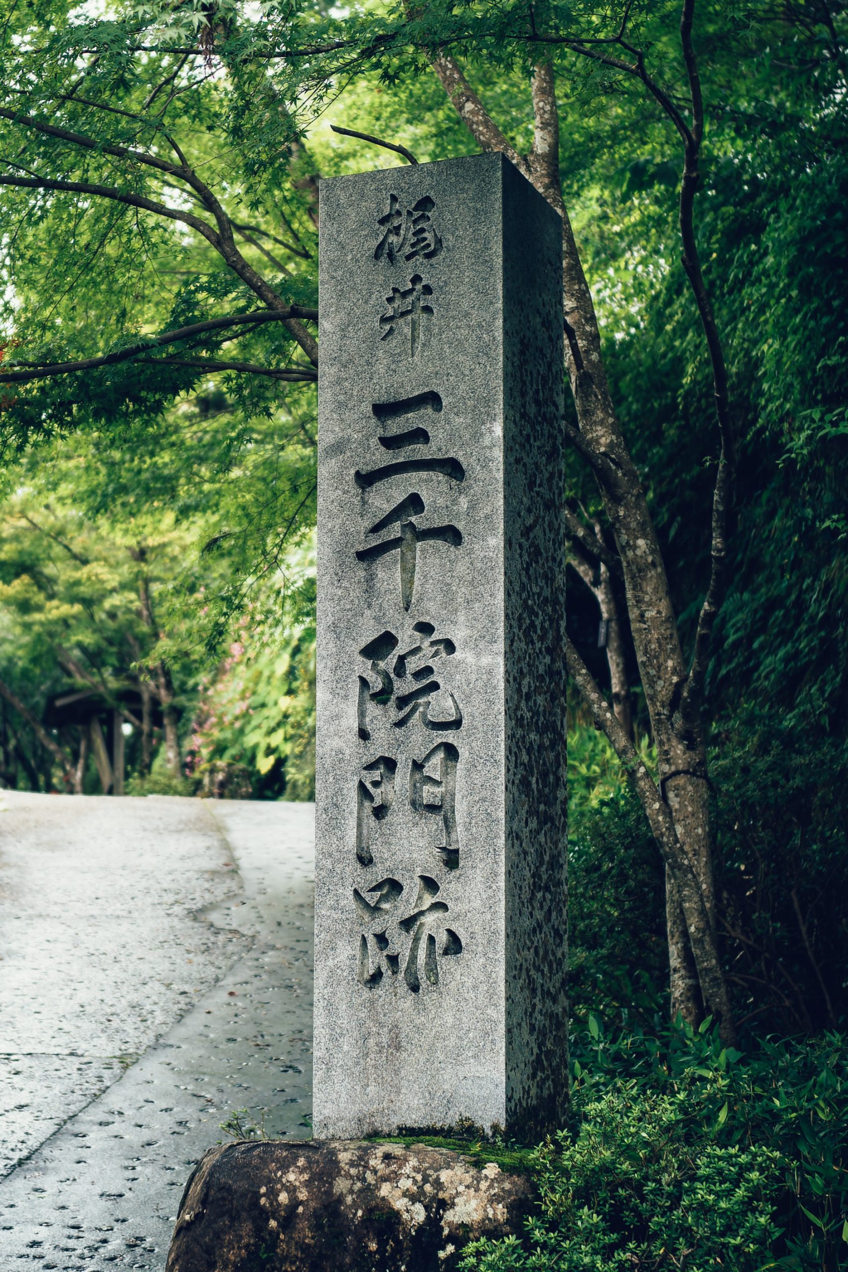穏やかな日差しのもと執り行われた三千院門跡・御懺法講に参列する
